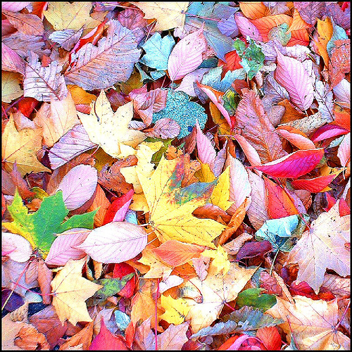 bouquet-sposa-autunnale
